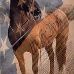Michael Barnhardt - @mbarnhardt - Instagram