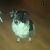 michaelbarowski63 - @michaelbarowski63 - TikTok