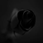 Michael Barragan - Facebook