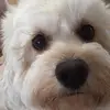 michael.barrasso - @michael.barrasso - TikTok