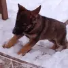 michael BARRY - @michael.barry638 - TikTok