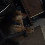 Michael Barry - @michael_barry04 - Instagram