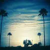 Michael Barry - @michael.barry2 - TikTok