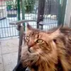 michaelbartmann1 - @michaelbartmann1 - TikTok