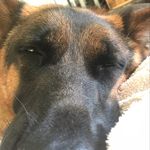 Michael Bartolomeo - @michael.bartolomeo.1 - Instagram