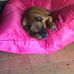Michael Bartolucci - Facebook