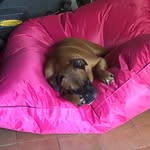 Michael Bartolucci - @michael_bartolucci - Instagram