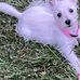 Michael Bartz - Facebook