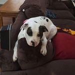 Michael Bartz - @bartz.michael - Instagram