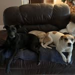 Michael Bartz - @michael.bartz.357 - Instagram