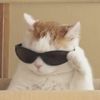 Michael Bascom - @michaelbascom_9355 - TikTok