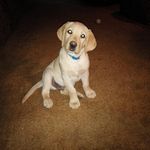 Michael Bascomb - @michael.bascomb.1 - Instagram