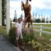 Michael Bascon - Facebook