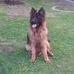 Bastien Michael - Facebook
