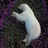 دMicheal Batarseh - @micheal.batarseh7 - TikTok