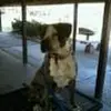 michaelbatch - @michaelbatch - TikTok