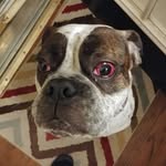 Michael Batchelor - @mike_batchelor01 - Instagram
