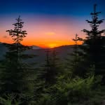 Michael Batease - @pnw_wild_shots - Instagram
