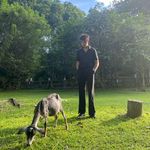 Michael Bateman - @michael_bateman88 - Instagram