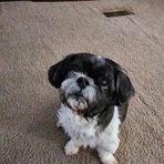 Michael Bateman - Facebook