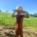 Michael P. Batenga - Facebook