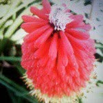 Michael Batey - @_wonderful_world_pics_ - Instagram