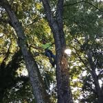 Michael Bath - @pandabearswagg - Instagram