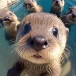 Michael Batley - @batley.michael - Instagram