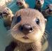 Michael Batley - Facebook