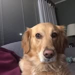 Michael L Batsford - @michael.l.batsford - Instagram