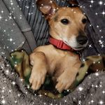 Michael Battie - @michaelbattie - Instagram