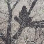 michaelbattistini123 - @michael_battistini - Instagram
