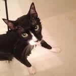 Michael Batton - @mpbatton - Instagram