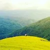 michael bau - @michael.bau - TikTok
