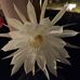 Michel Baudoin - Facebook
