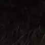 ..michaelbauer - @..michaelbauer - TikTok