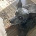 Michael Baughn - Facebook