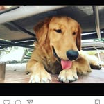Michael Baum - @michael__baum - Instagram