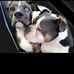 Michael Baumbach - Facebook