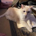 Baumer Michael - @michael.baumer.712 - Instagram