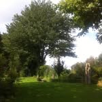 Michael Bäumer - @michael.baumer.35 - Instagram
