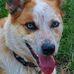 Mike Baumgardner - Facebook