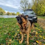 Michael Baumgart - @michaelschabenberger - Instagram
