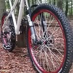 Michael Baumgarten - @michael.baumgarten.37 - Instagram