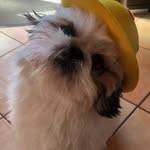 Michael Baumgarten - @michael.baumgarten1 - Instagram