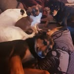 Michael Baumgarten - @michael_baumgarten_ - Instagram