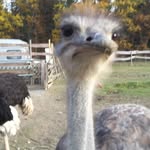 Michael Baur - @michael.baur.94064 - Instagram