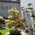 Michael Bausch - @micbau66 - Instagram