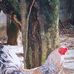 Michael S. Balero - Facebook
