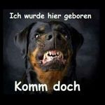 Michael Bawol - @michael.bawol.148 - Instagram